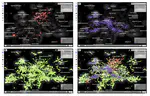 Interactive visualizations for adolescents to understand and challenge algorithmic profiling in online platforms